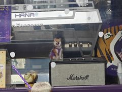 -HANA COFFEE(长寿路店)