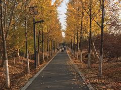 -罍+村(半边街店)