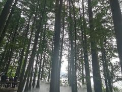 -东湖落雁景区