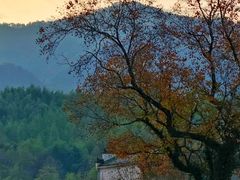 -塔川景区