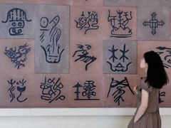 -烟台自然博物馆