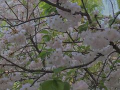 -长安大学(北校区)