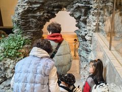 -白天鹅宾馆-宏图府餐厅