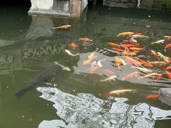 -胡雪岩故居