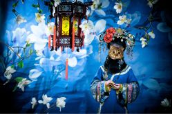 点击看大图 -九月鹰飞汉服摄影工作室