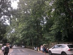 -国生茶庄·地道农家菜团建活动