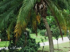 -人民公园(罗湖区)