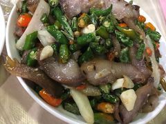 -东吴霸王兔(松青路店)