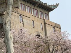 -武汉大学-樱园