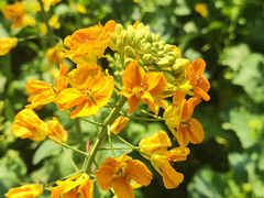 -中国天府农业博览园