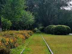 -永定河休闲森林公园