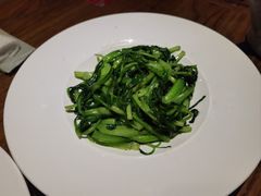 清炒鸡毛菜-老宁波1381餐厅(宏泰广场店)