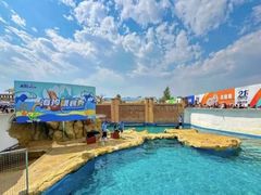 -秦皇岛乐岛海洋王国