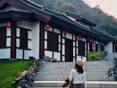 -千年银杏谷文化旅游区