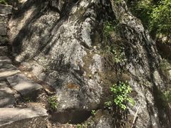 -驼梁风景区