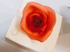 -好利来(朝外店)