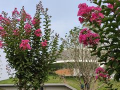 -郑东新区龙湖公共艺术中心