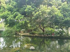 -成都市活水公园