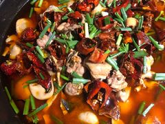 -一只烧鸡公(解放碑店)