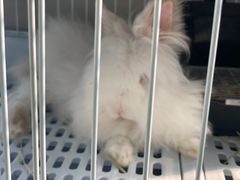 -小意思咖啡店(草桥店)