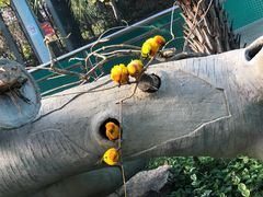 -无锡动物园·太湖欢乐园