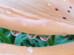 -长春公园(普阳街道)