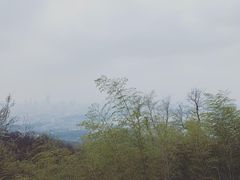 -紫金山天文台