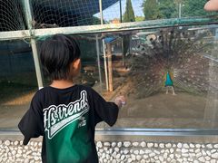 -南戴河国际娱乐中心