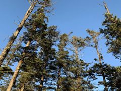 -西岭雪山大飞水景区