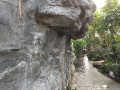 -北京植物园-展览温室