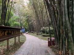 -望江楼公园