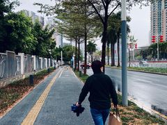 -福田体育公园