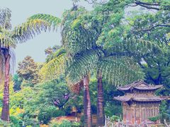 -昆明市金殿名胜区