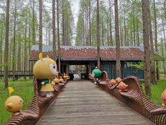 -黄海国家森林公园