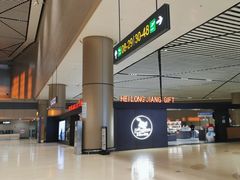 -哈尔滨太平国际机场-T2航站楼