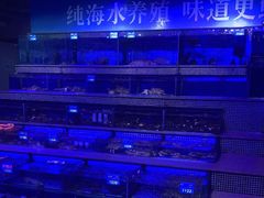-青蓬蒸汽海鲜·深圳老字号·团建聚会(壹方城店)