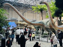 -国家自然博物馆