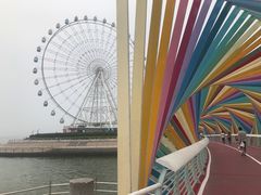 -琴岛之星摩天轮