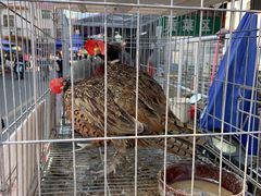-永汉农贸综合市场