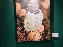 -烹然四季椰子鸡火锅(姚家园万象汇店)