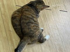 -甜心(广厦街店)