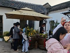 -苏州市吴中区光福窑上花果蜜饯厂