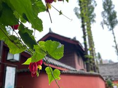 -成都市文殊院