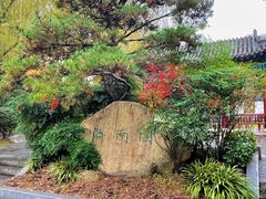 -武汉园博园(武汉自然博物馆)