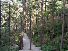 -崂山巨峰游览区