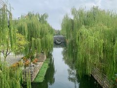 -东台西溪天仙缘景区