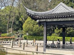 -红梅公园