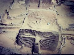 -洛阳周王城天子驾六博物馆