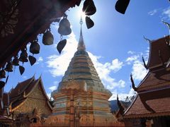 -五世皇金柚木行宫(维护中)