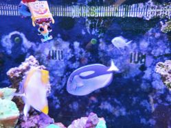 -Zoolung Zoolung动物主题公园(海信广场店)